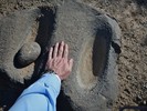 photo thumbnail #10