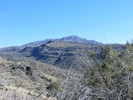 photo thumbnail #15