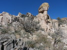 photo thumbnail #6