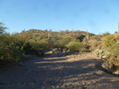 photo thumbnail #5