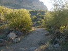 photo thumbnail #6