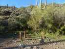 photo thumbnail #7