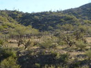 photo thumbnail #10