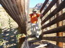 photo thumbnail #11