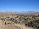 photo thumbnail #1