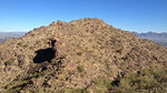 photo thumbnail #4