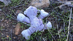photo thumbnail #7