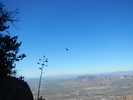 photo thumbnail #10