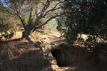 photo thumbnail #9