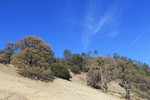 photo thumbnail #15