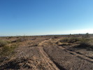 photo thumbnail #13