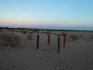 photo thumbnail #14