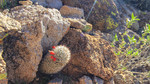 photo thumbnail #14