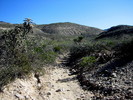 photo thumbnail #5