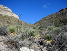 photo thumbnail #4
