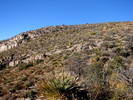 photo thumbnail #10