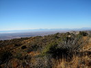 photo thumbnail #13