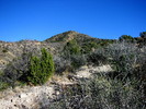 photo thumbnail #14