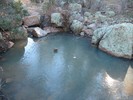 photo thumbnail #7
