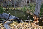 photo thumbnail #4