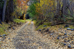 photo thumbnail #15