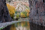 photo thumbnail #15