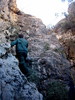 photo thumbnail #12