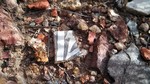 photo thumbnail #8