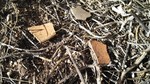 photo thumbnail #13