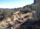 photo thumbnail #7