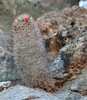 photo thumbnail #13