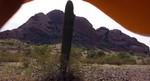 photo thumbnail #13