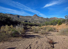 photo thumbnail #6