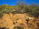 photo thumbnail #9