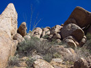 photo thumbnail #13