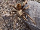 photo thumbnail #4