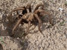 photo thumbnail #5