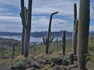 photo thumbnail #1