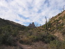 photo thumbnail #13