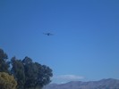 photo thumbnail #12