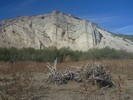 photo thumbnail #14
