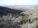 photo thumbnail #12