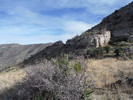 photo thumbnail #14