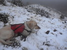 photo thumbnail #15