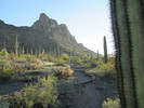 photo thumbnail #2