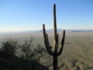 photo thumbnail #3