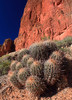 photo thumbnail #14