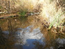 photo thumbnail #14