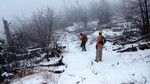 photo thumbnail #2