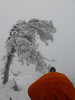 photo thumbnail #6